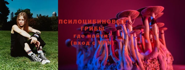 наркотики Каменка